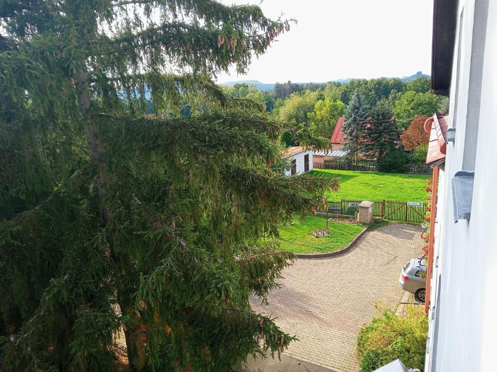 Zahrada ubytování Hotel U Zeleného Stromu - Zum Grünen Baum