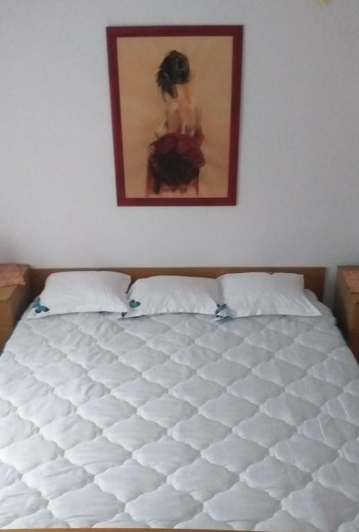 Postel nebo postele na pokoji v ubytování Pensiunea Cabana Viselor