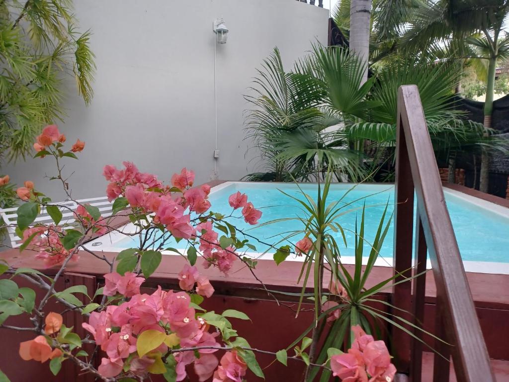 Bazén v ubytování CerroAly nebo v jeho okolí