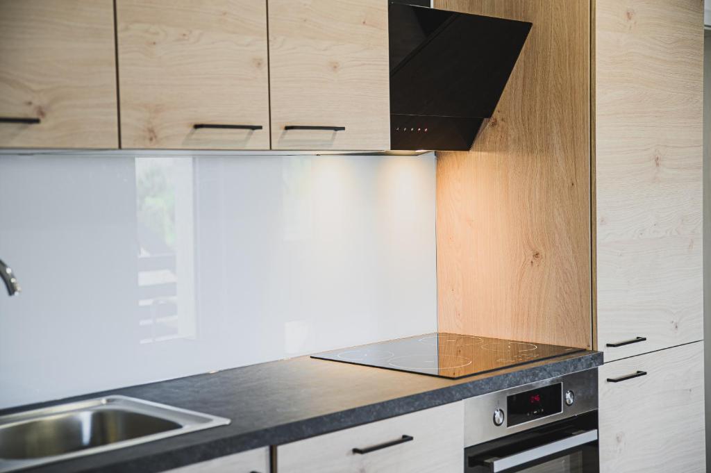 Kuchyň nebo kuchyňský kout v ubytování Mojčin Pisker Apartment House