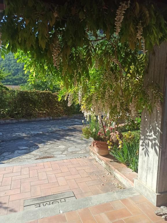 Ogród w obiekcie Casa Furia
