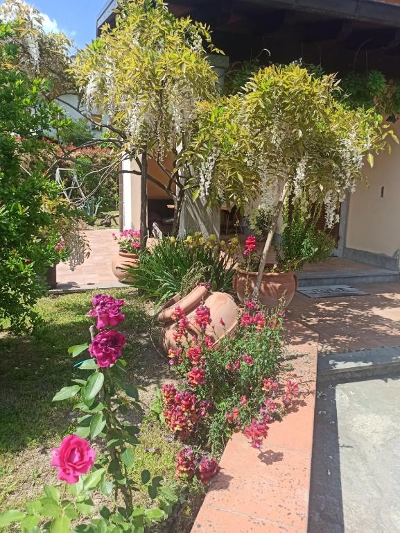 Ogród w obiekcie Casa Furia