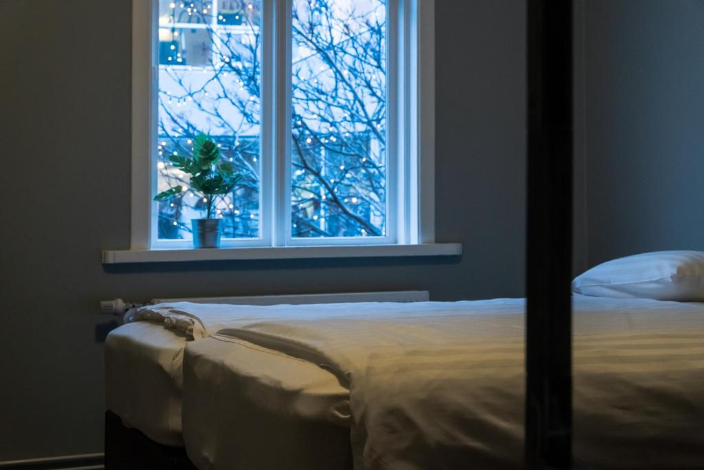 Postel nebo postele na pokoji v ubytování Akureyri Backpackers