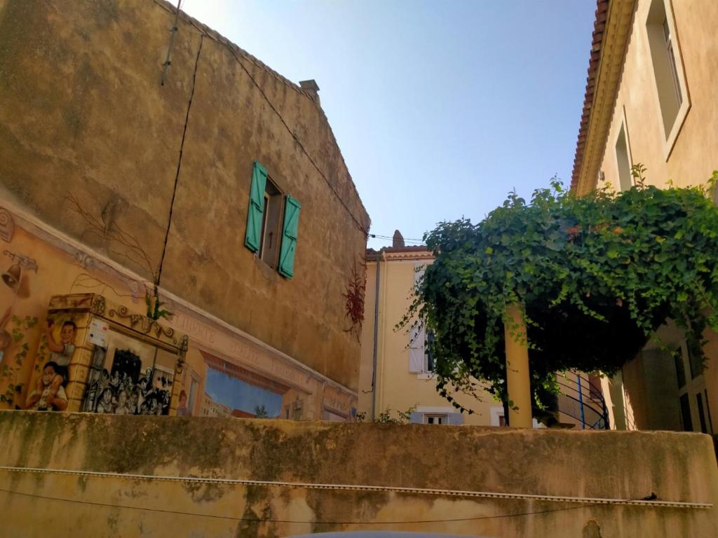 un edificio con ventanas verdes y un árbol al lado en paradis des randonneurs, en Roquefort-des-Corbières