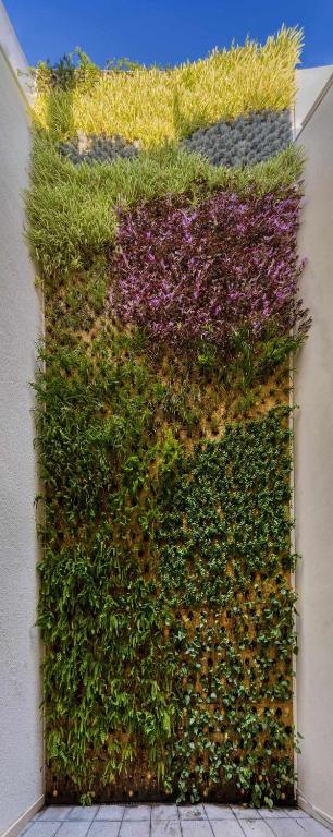 Nature by Raidom - Resim 11