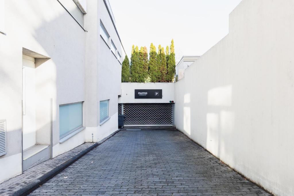 Numa Bona - Resim 36