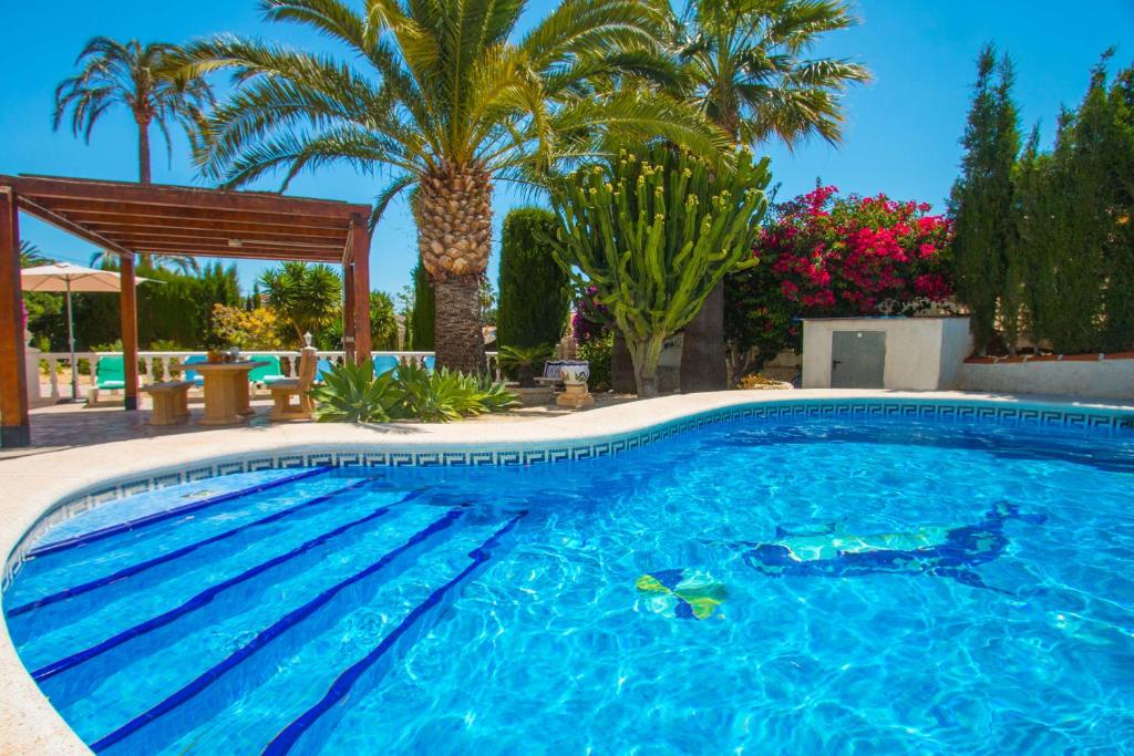 The swimming pool at or close to Villa Erik - PlusHolidays