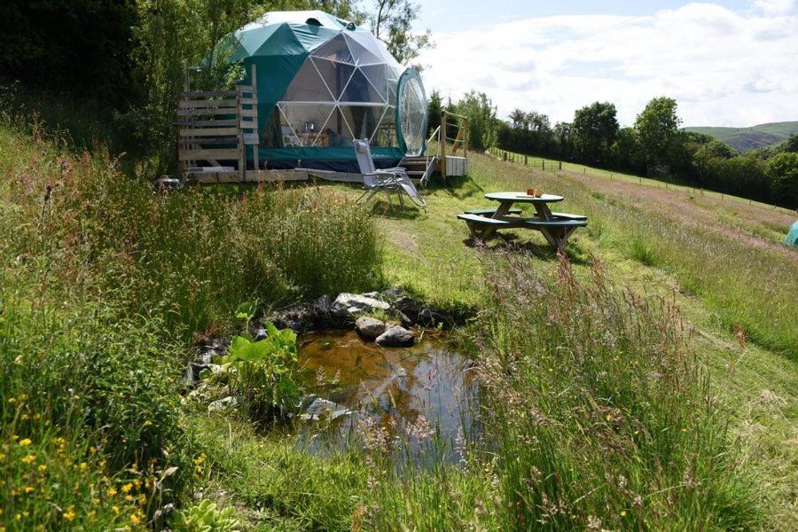 雷雅特的住宿－The Hafod，田野上的帐篷和野餐桌