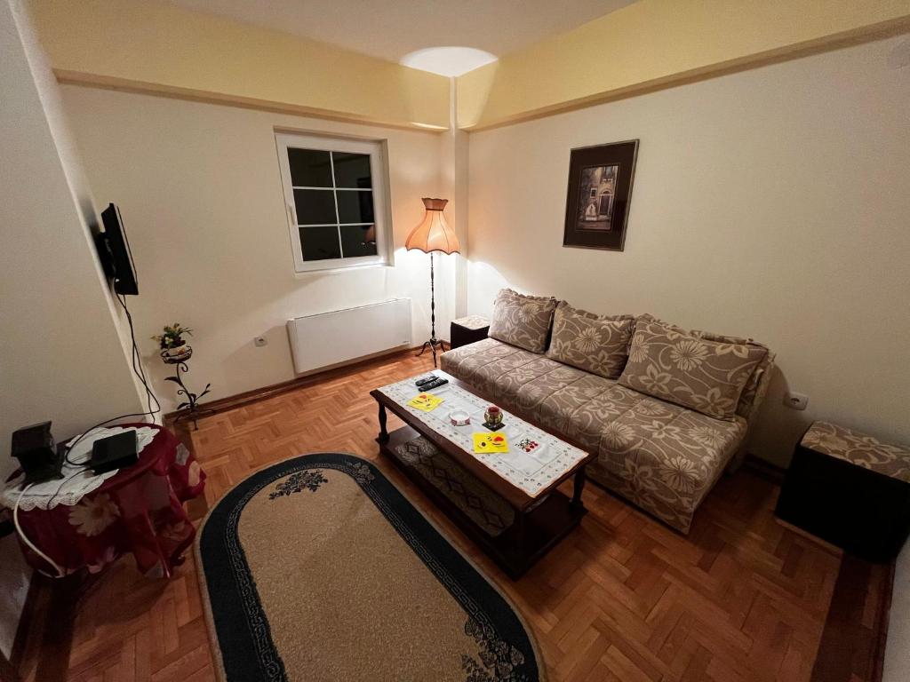 Posezení v ubytování VIK apartman Brzece