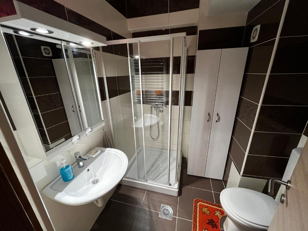 Koupelna v ubytování VIK apartman Brzece