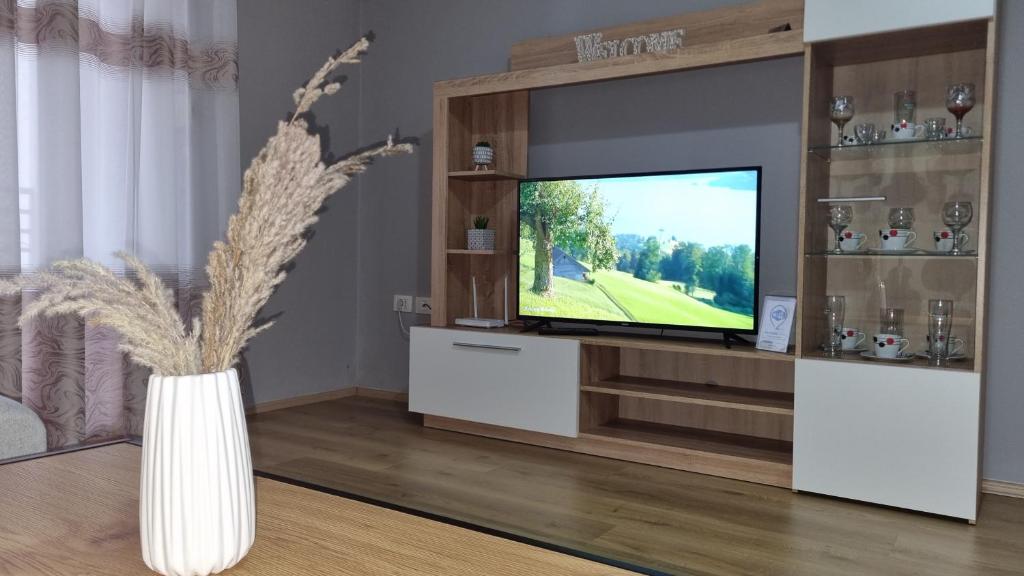 "Vatra" Apartment - Imazhi 5