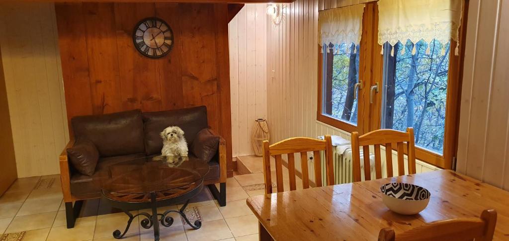 um cão sentado numa cadeira de couro numa sala de estar em Le Passage em Salvan