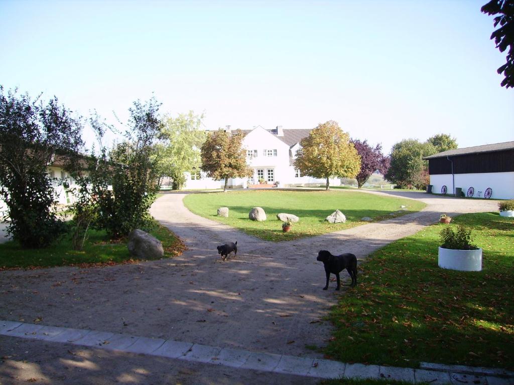 Domácí mazlíčci ubytovaní s hosty v ubytování Moorberghof