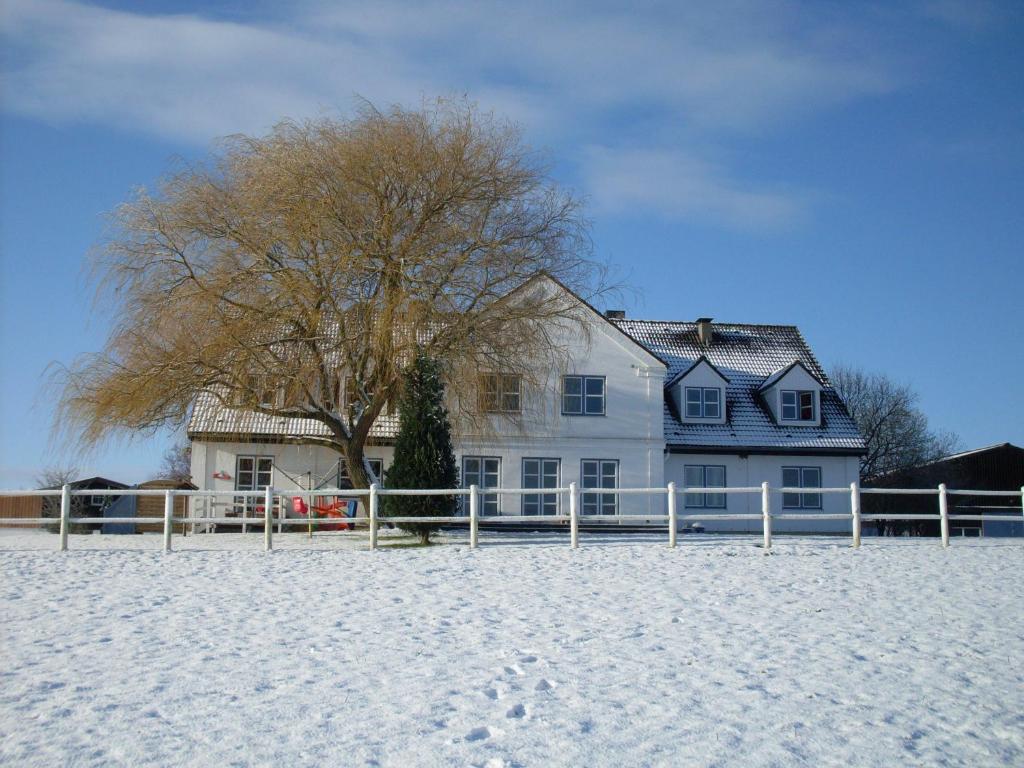 Moorberghof v zimě