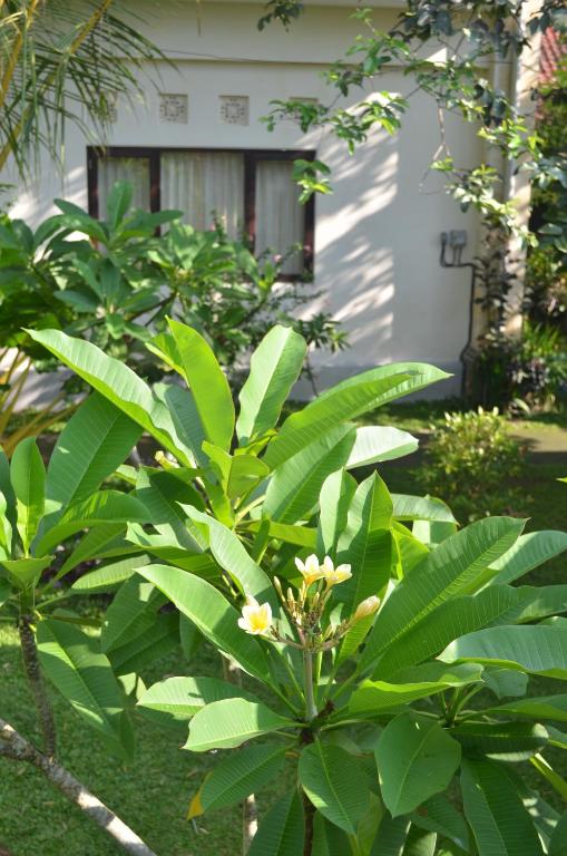 Zahrada ubytování Wijaya Guest House Ubud