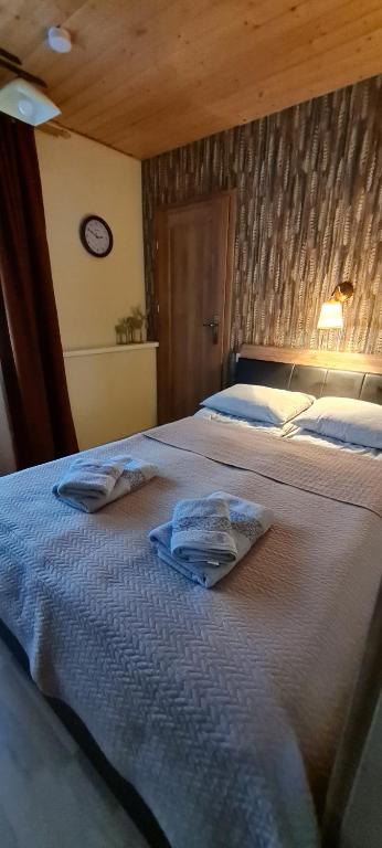 Postel nebo postele na pokoji v ubytování Apartamentai pas Danutę