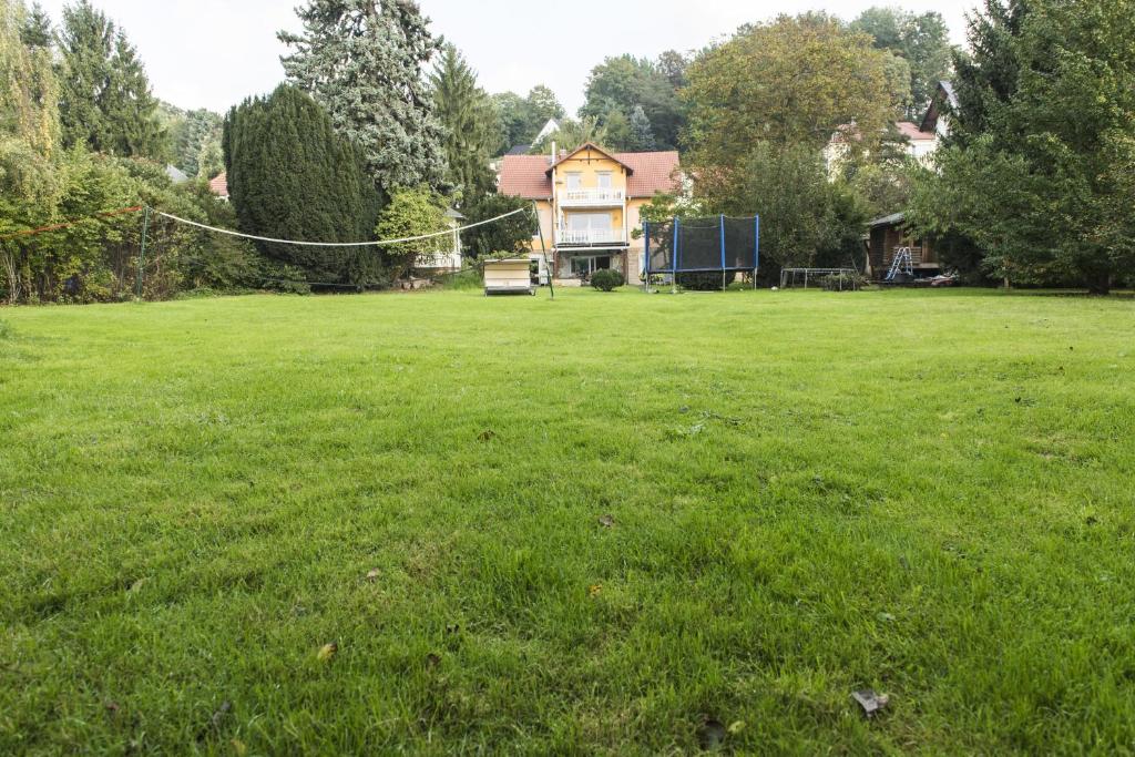 a large yard with a house in the background at Ferienwohnung Casa Casimir mit Elbblick, Balkon und großen Garten in Dresden