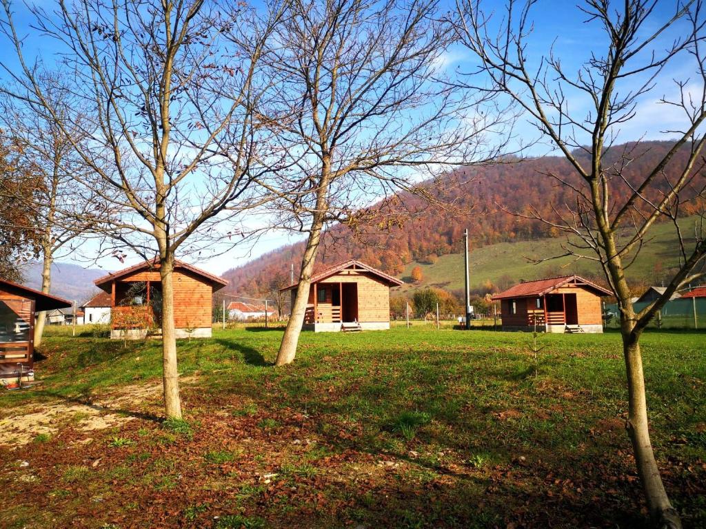 a group of houses in a field with trees at Căsuțe Zăvoi Bulz in Bulz