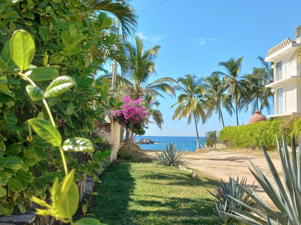 un chemin menant à la plage avec des palmiers et l'océan dans l'établissement Camino al Mar, à Ipala