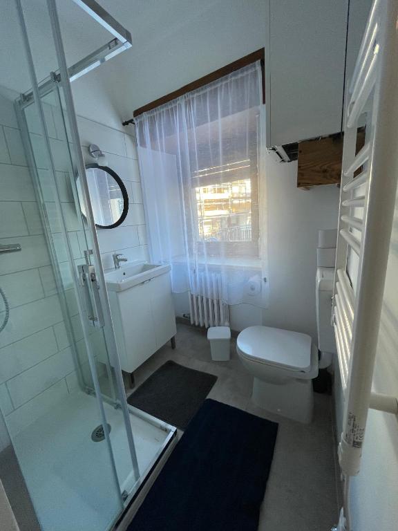 łazienka z przeszklonym prysznicem i toaletą w obiekcie Casa della Nonna w mieście Sauze dʼOulx