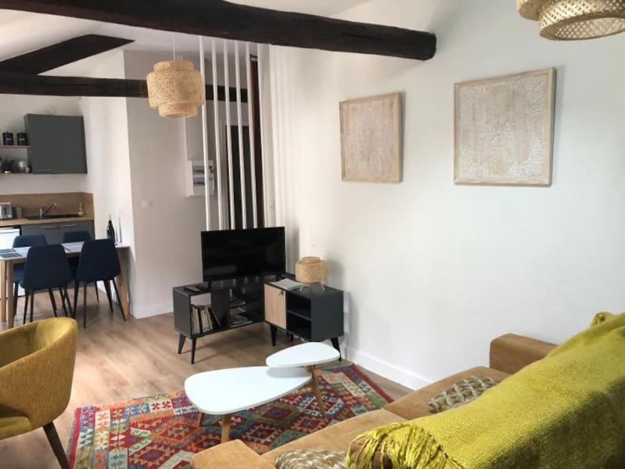 Televízia a/alebo spoločenská miestnosť v ubytovaní Appartement en cœur de ville