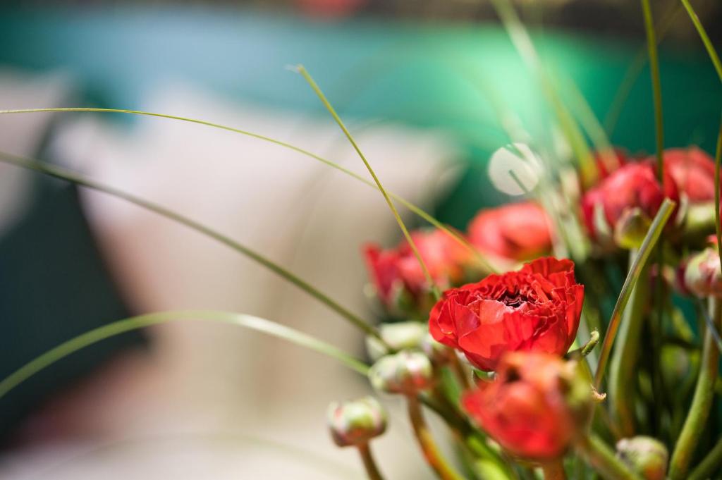 Jardins de Montmartre - Resim 25