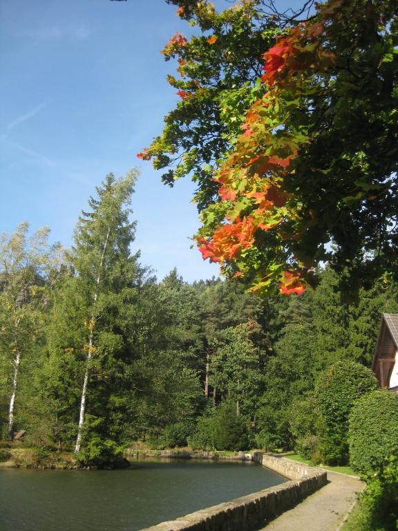 Příroda nedaleko hotelu