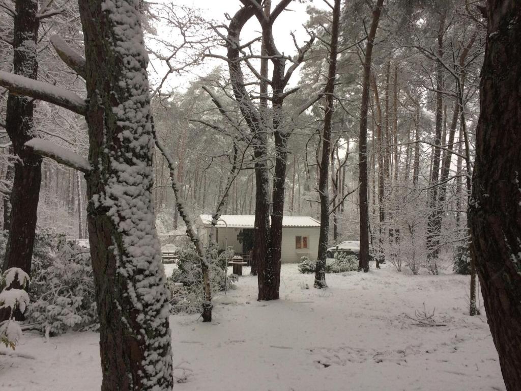 a cabin in the woods covered in snow at Tranquil bungalow in Lille with garden in Lille