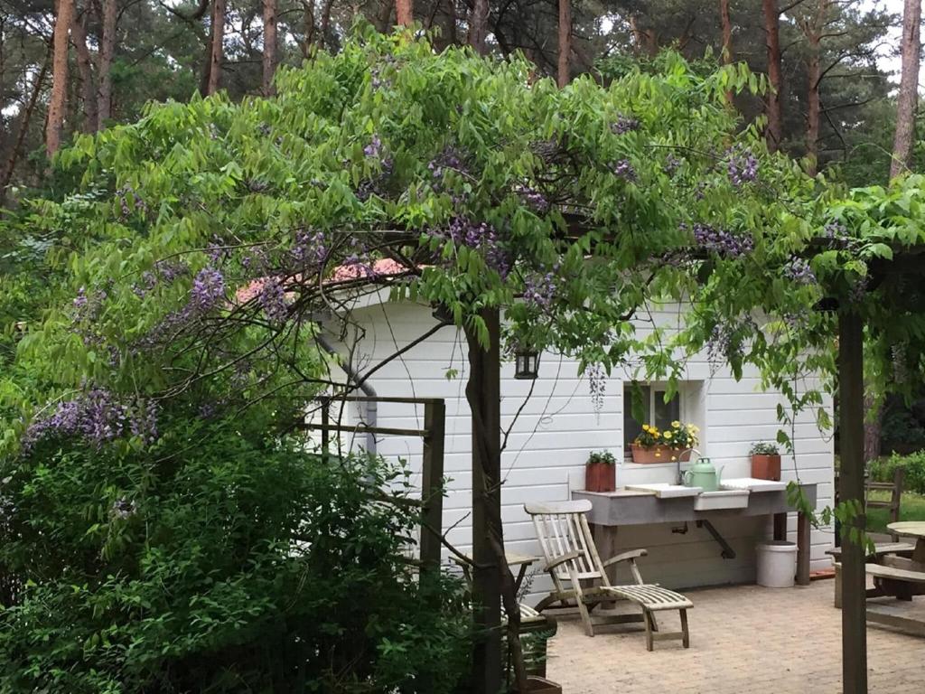 a tree with purple flowers in front of a house at Tranquil bungalow in Lille with garden in Lille
