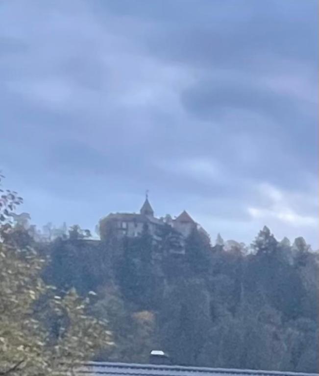 Příroda nedaleko apartmánu