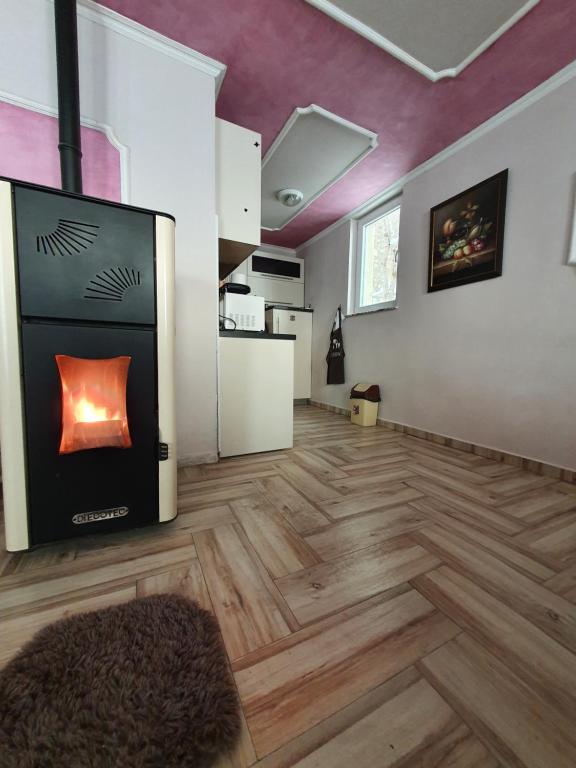 Kuchyň nebo kuchyňský kout v ubytování Villa Winterfell Popova Shapka