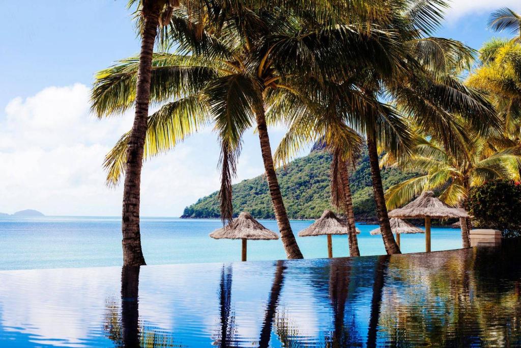 una piscina con palmeras y el océano en Beach Club en Isla Hamilton