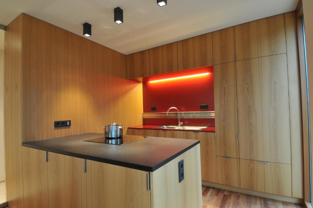 Kuchyň nebo kuchyňský kout v ubytování Ferienhaus S11 Lustenau