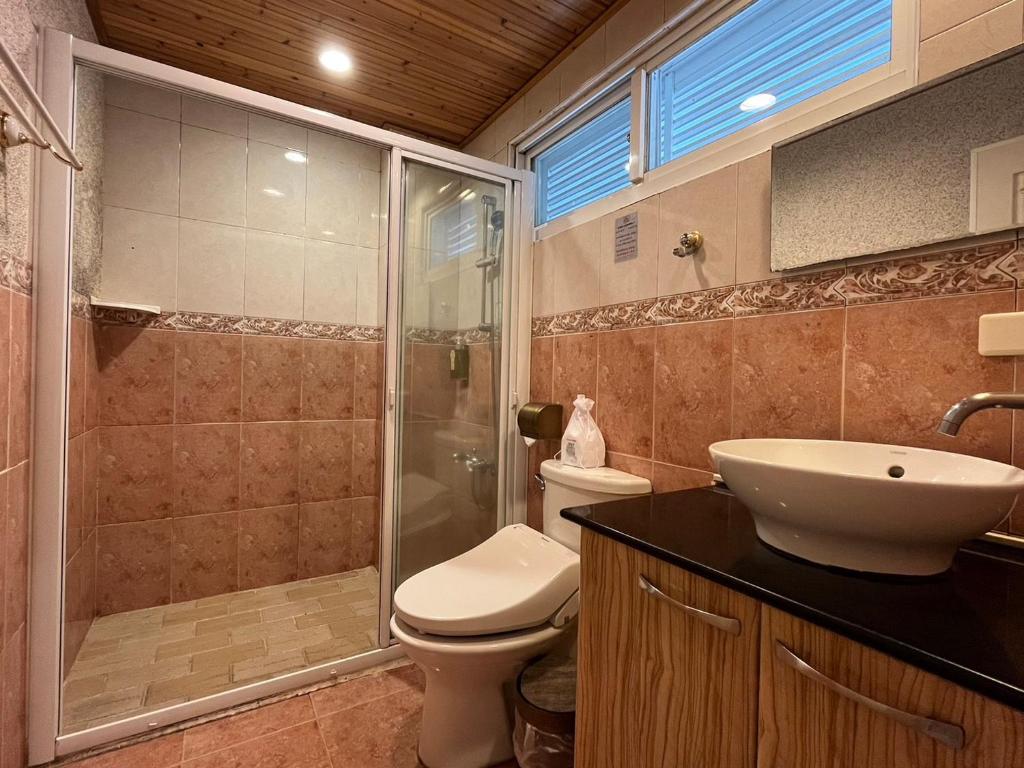 a bathroom with a shower and a toilet and a sink at Cingjing Vienna Pleasance Cottage in Ren&#39;ai