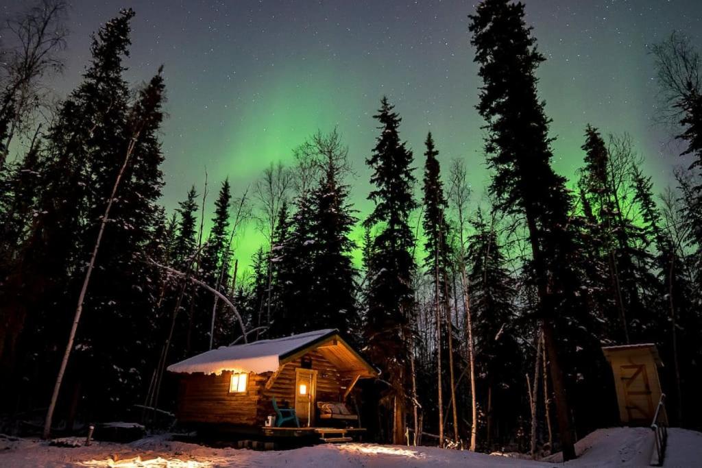 an image of the aurora borealis over a cabin at Studio Log Cabin With Aurora Views in Fairbanks