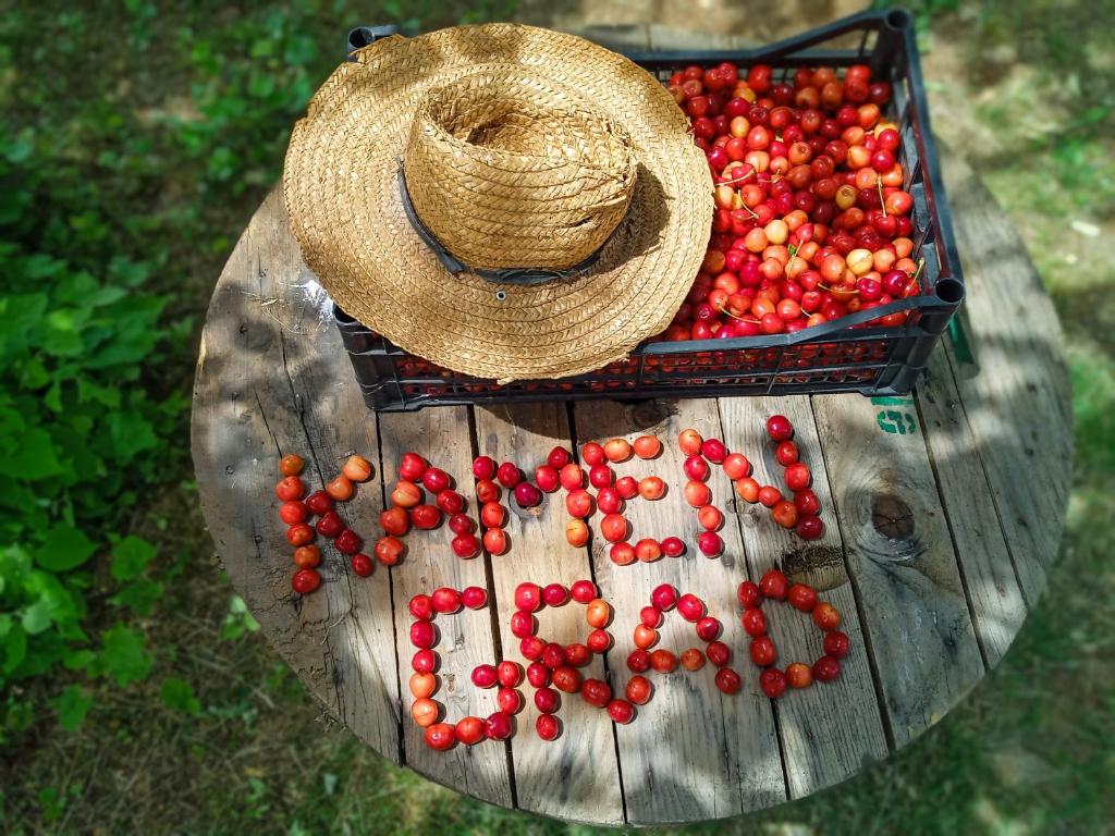 un sombrero sentado en una mesa de madera con un montón de tomates en KAMENGRAD CUPICA, en Danilovgrad