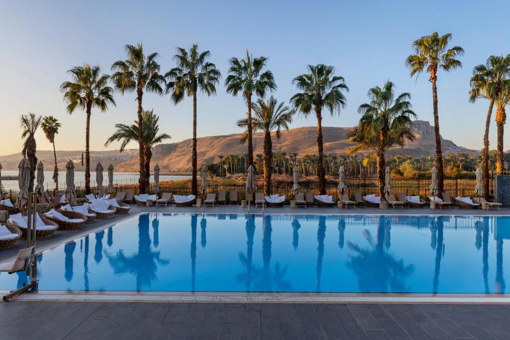 a pool with palm trees and lounge chairs at Gomeh by Isrotel Design in Tiberias