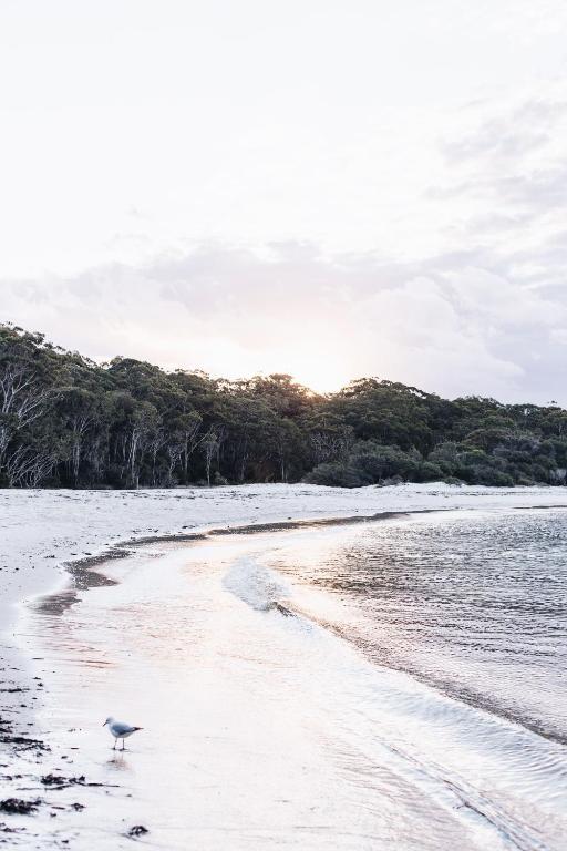 un uccello che si erge su una spiaggia vicino all'acqua di The Beach Studio a Huskisson