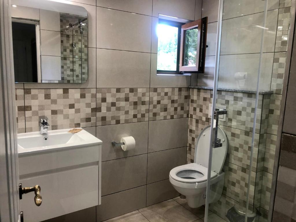 BUCEGI VIEW APARTAMENT في سينيا: حمام مع مرحاض ومغسلة