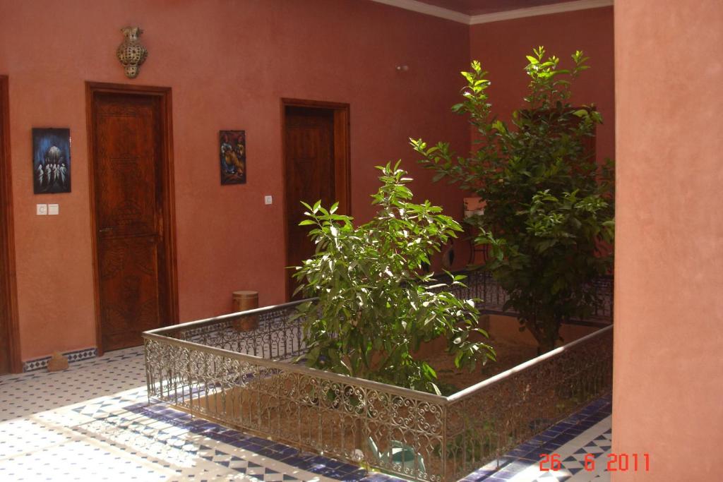 Fotografija v galeriji nastanitve Riad de l'Olivier - Paradise Valley v mestu Aksri