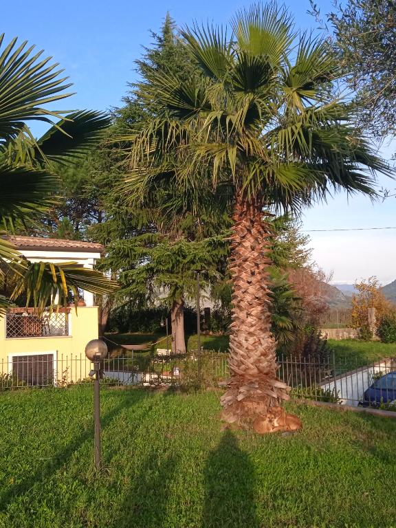 A garden outside Villa Rosanna