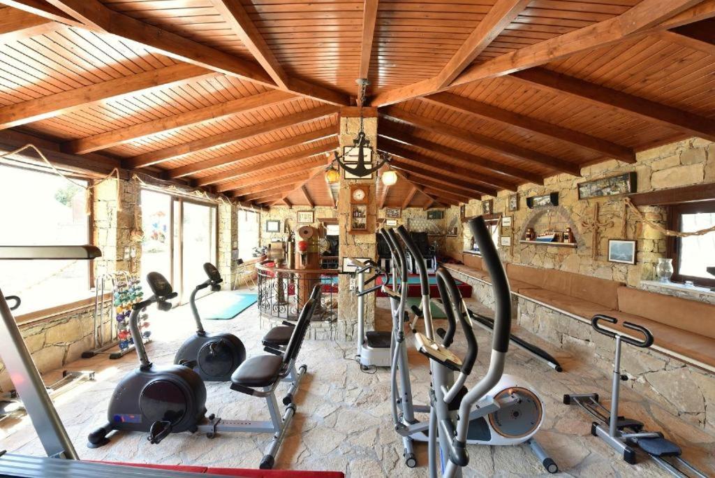 Fitness centrum a/nebo fitness zařízení v ubytování Alexander Mountain Resort