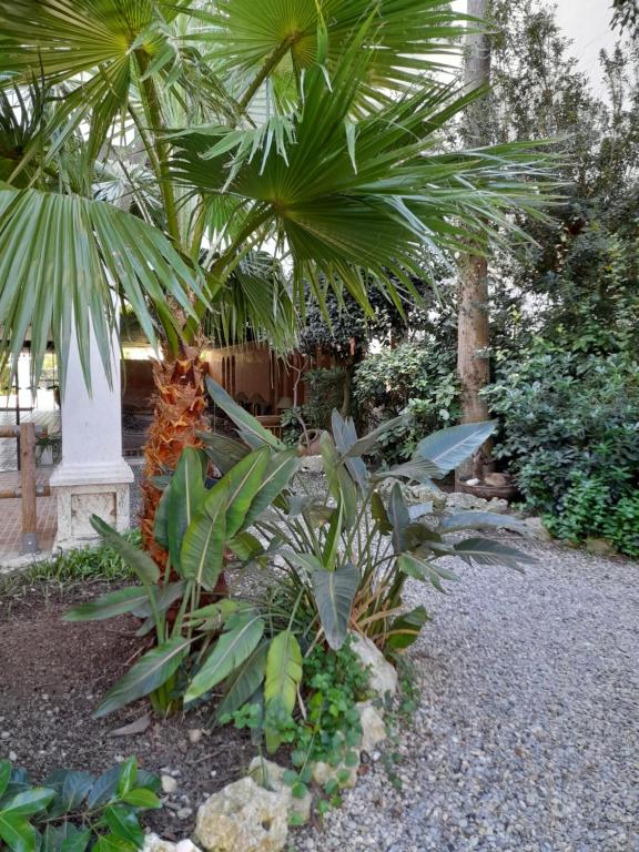 A garden outside Royal Marine playa calme et cosy