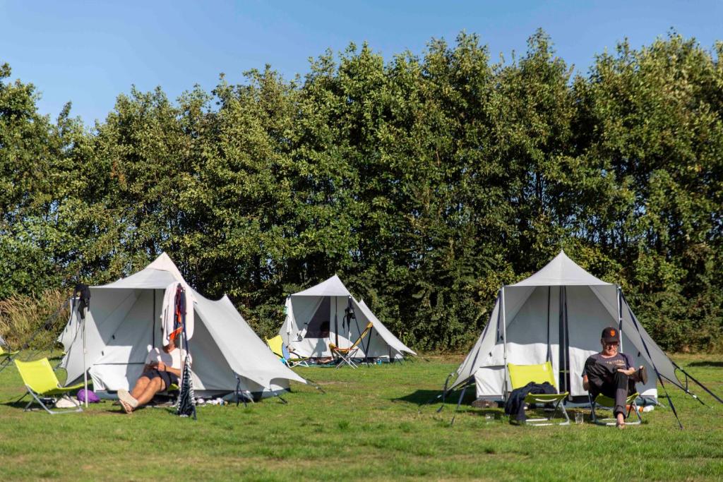 een groep tenten in het gras bij BlueCAMP Oerol24- Tent&Breakfast in West-Terschelling