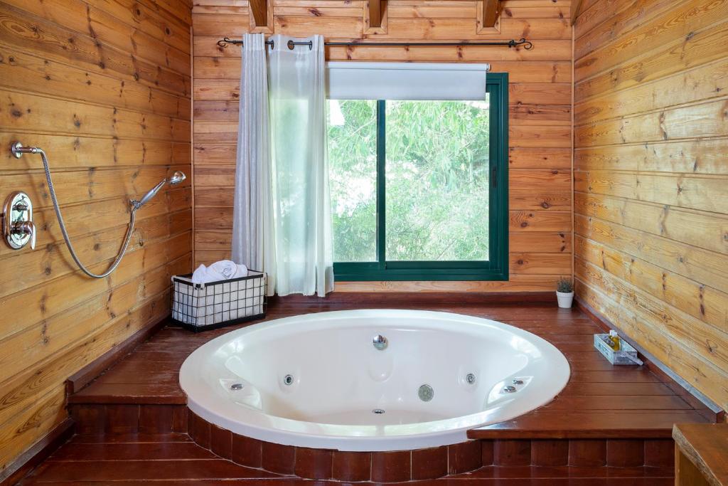 Koupelna v ubytování Nof Kineret Suites