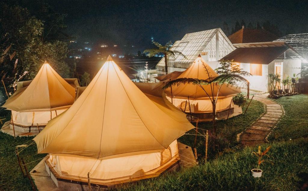 un groupe de tentes assises dans l'herbe la nuit dans l'établissement Alamu Eco Lodge, à Bedugul