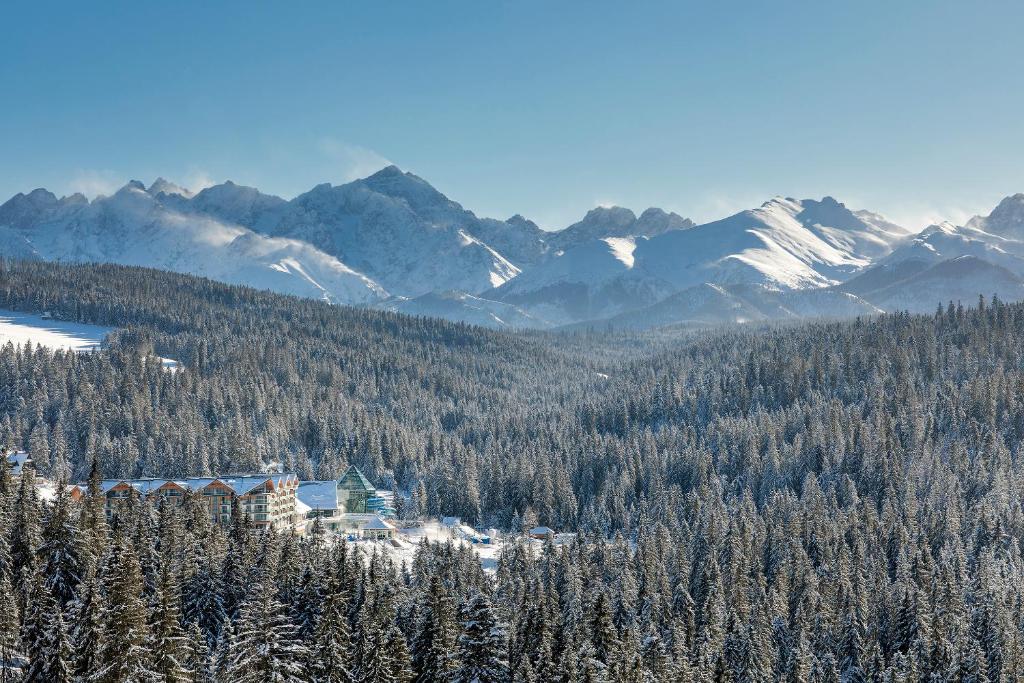 ośrodek narciarski w środku pokrytej śniegiem góry w obiekcie Hotel BUKOVINA w Bukowinie Tatrzańskiej