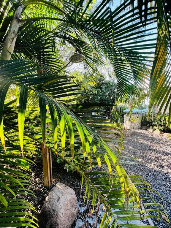 Jardín al aire libre en Aleli Cottages