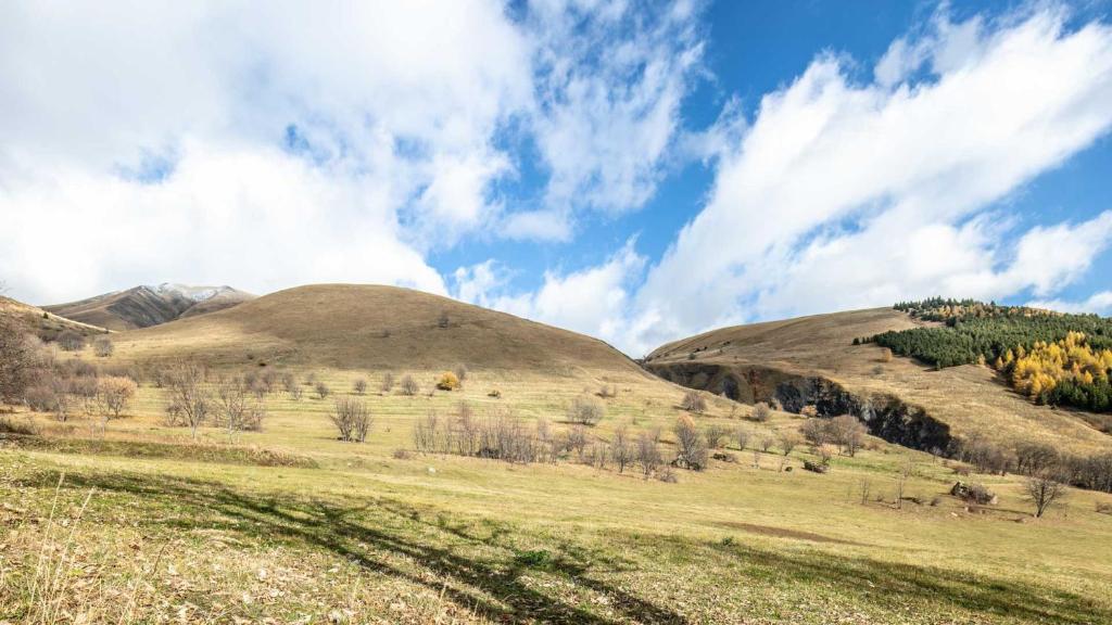 Príroda v okolí apartmánu