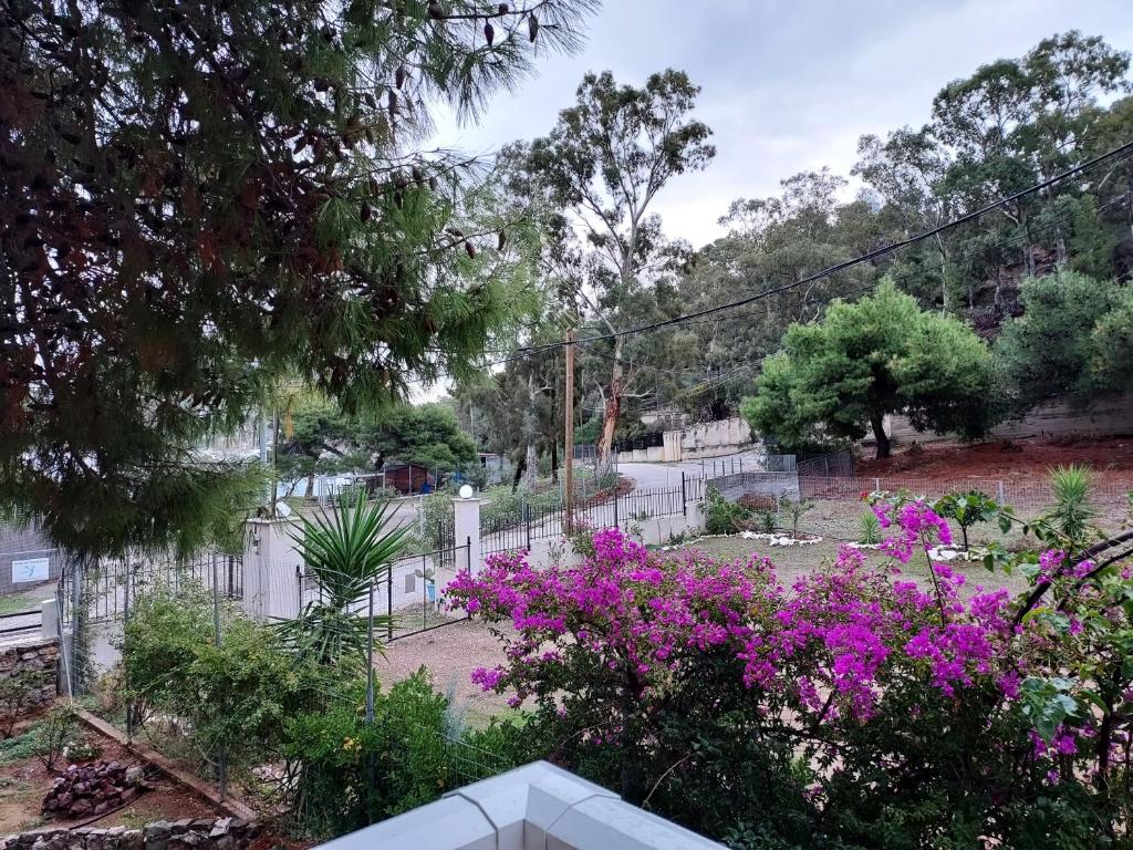 een tuin met paarse bloemen en een hek bij Blue Lagoon in Loutraki